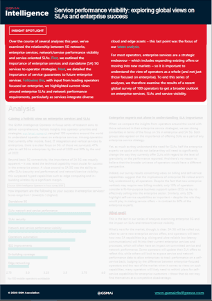 Service performance visibility: exploring global views on SLAs and enterprise success