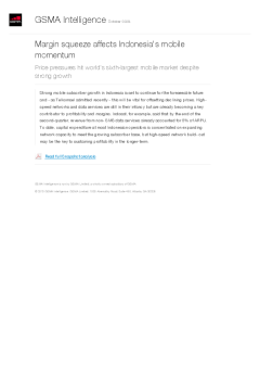 Margin squeeze affects Indonesia's mobile momentum - Price pressures hit world's sixth-largest mobile market despite strong growth
