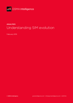 Understanding SIM evolution